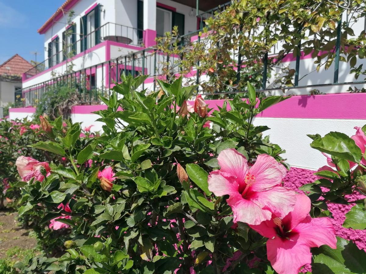 Westerland House Ribeira Brava Dış mekan fotoğraf
