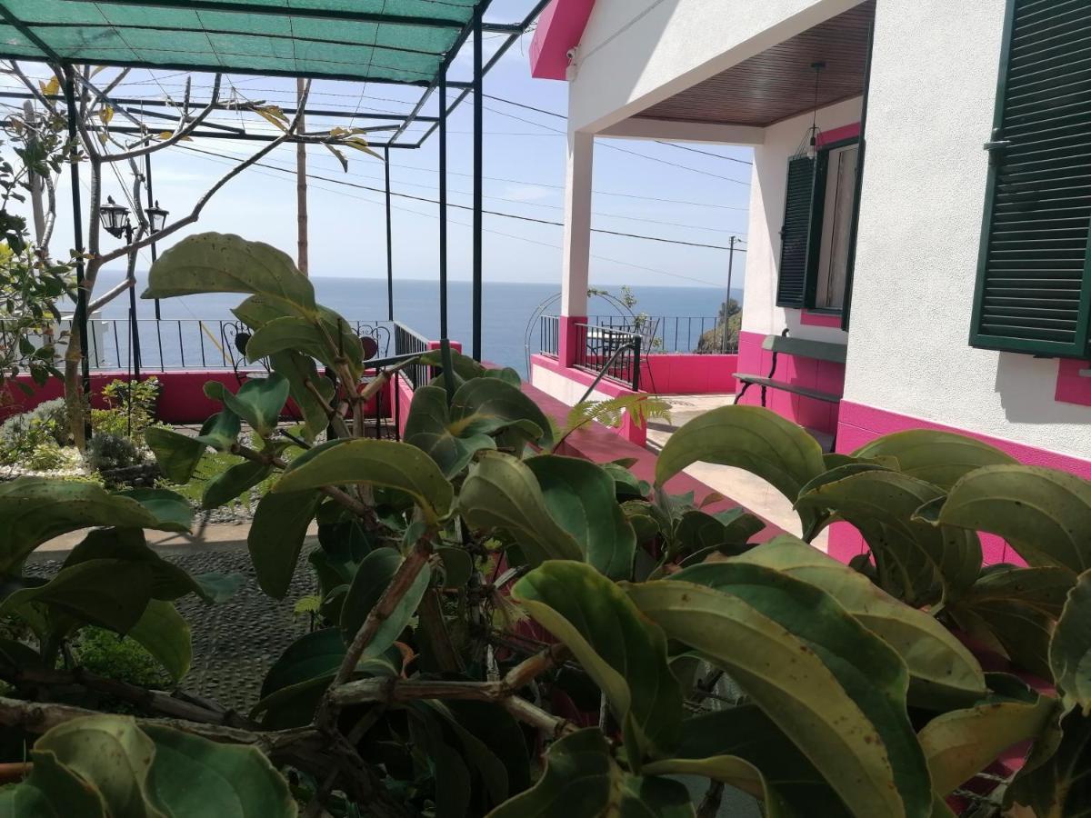 Westerland House Ribeira Brava Dış mekan fotoğraf