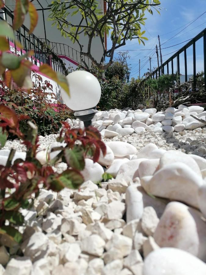 Westerland House Ribeira Brava Dış mekan fotoğraf